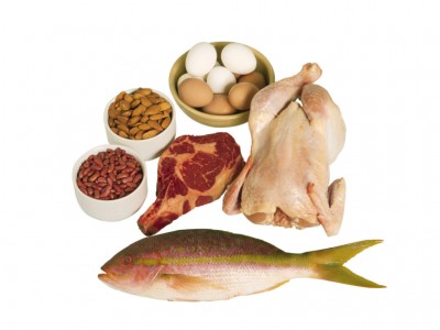 High Protein Diets – The Truth